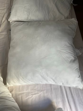 2 oreillers IKEA