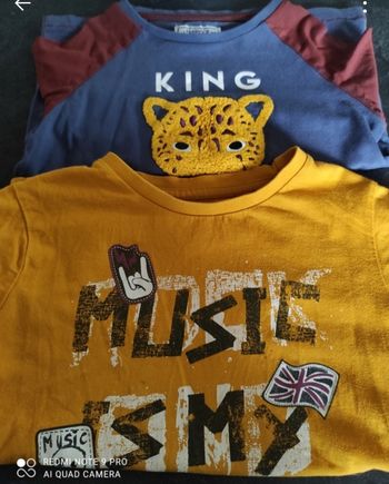 Lot 2 pulls manches longues