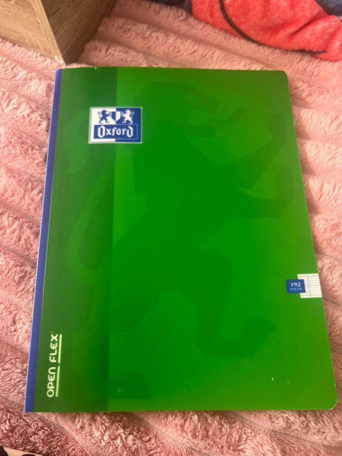 Cahier grand carreaux