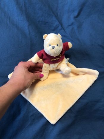 Doudou Disney Baby Winnie Loursob