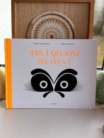 Livre mais à qui sont ces yeux 