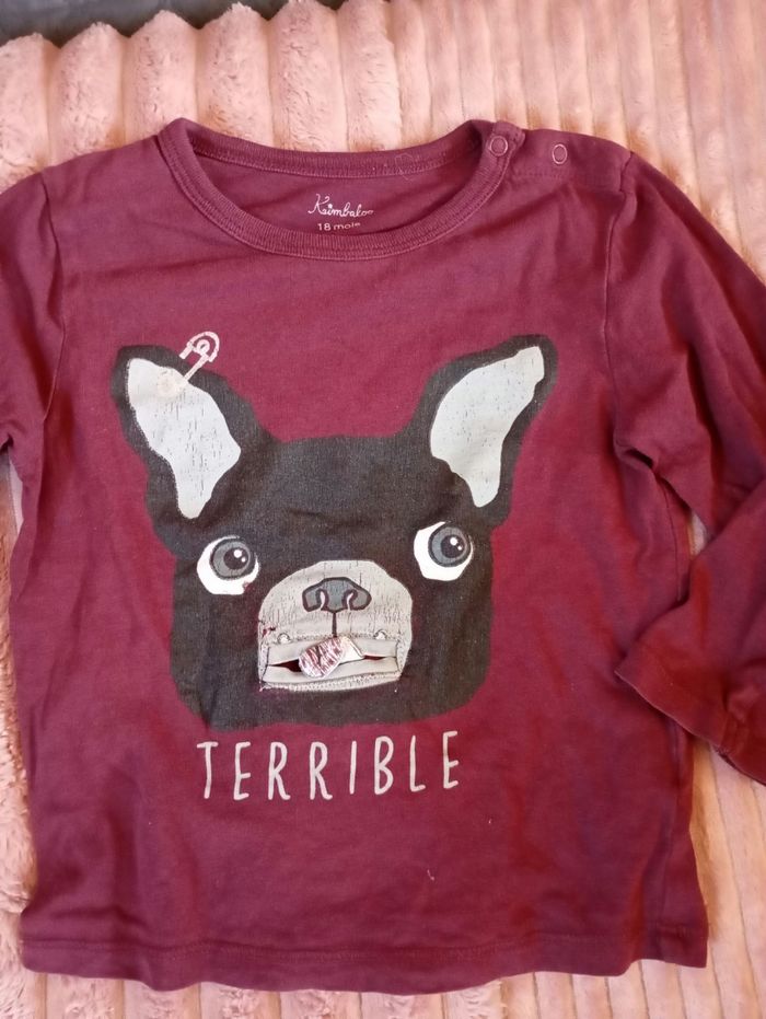 Lot 5 tee shirt manches longues 18 mois - photo numéro 6