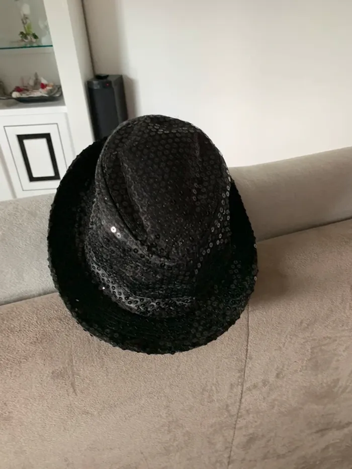 Chapeau - photo numéro 3