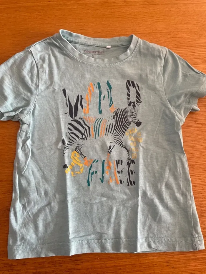 4 t-shirt garçon 5 ans - photo numéro 10