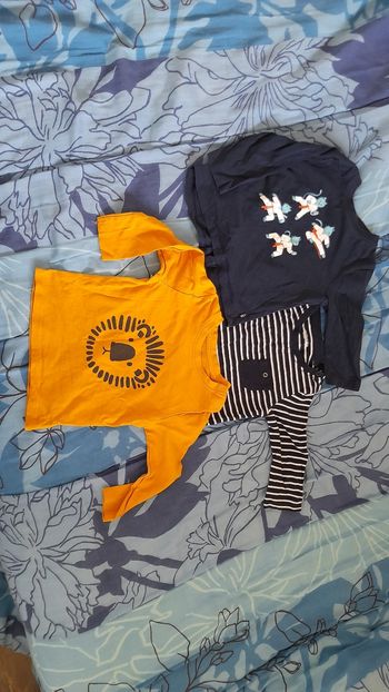 Lot 3 tee shirts manches longues