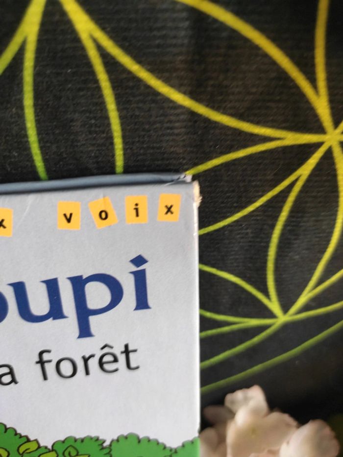 T’choupi dans la forêt - Histoire à deux voix - photo numéro 4