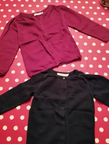 2 gilets Gémo kids 36 mois