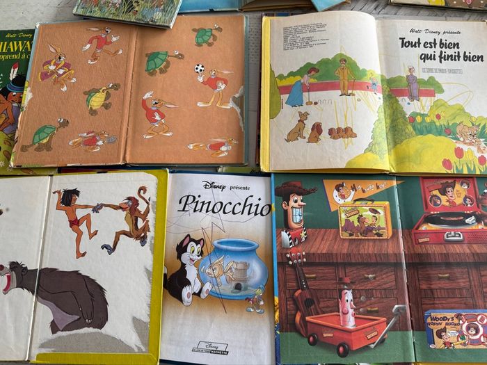 12 livres Disney - photo numéro 4