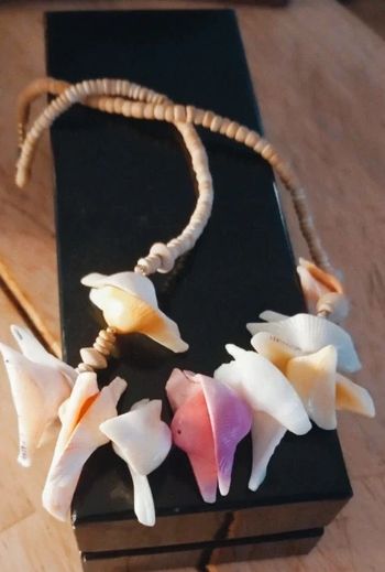 Superbe collier coquillage