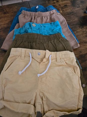 Lot 5 short