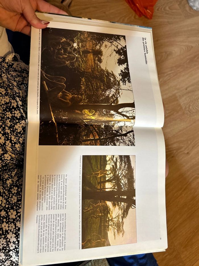 Livre : les origines de l’homme - photo numéro 7