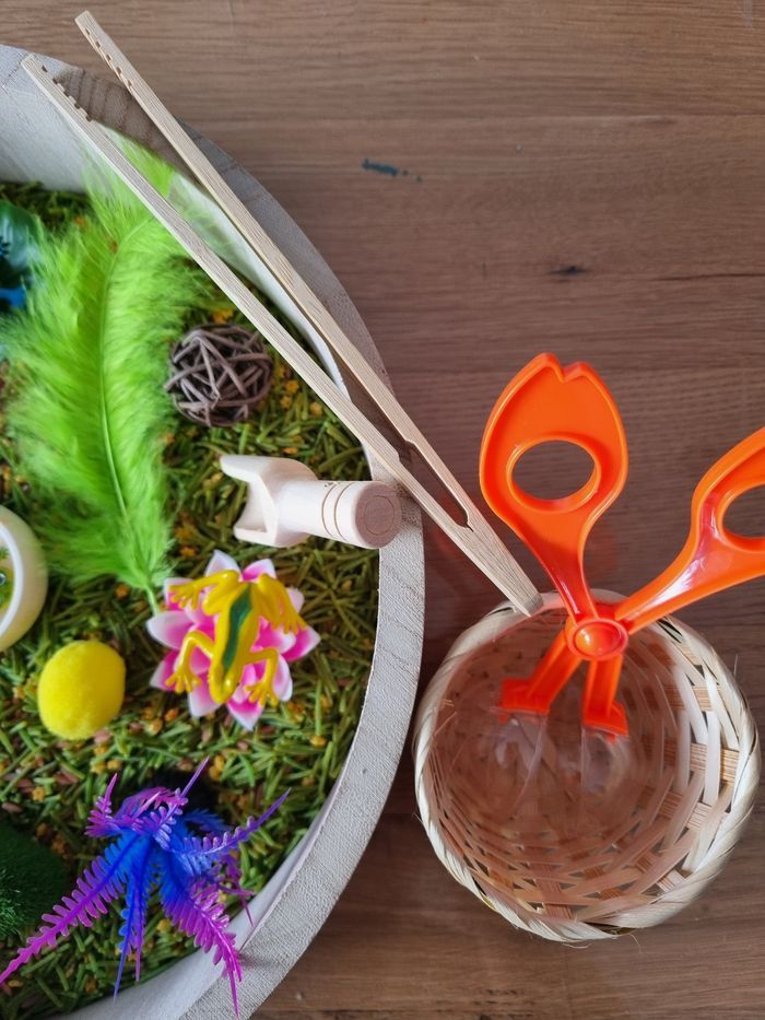 Kit de transvasement sensoriel riz coloré thème "Grenouilles " inspiré Montessori - photo numéro 3