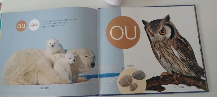 Livre les lettres neuf. - photo numéro 9
