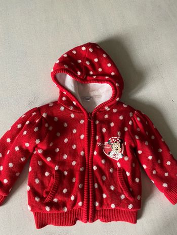 veste disneyland paris Minnie