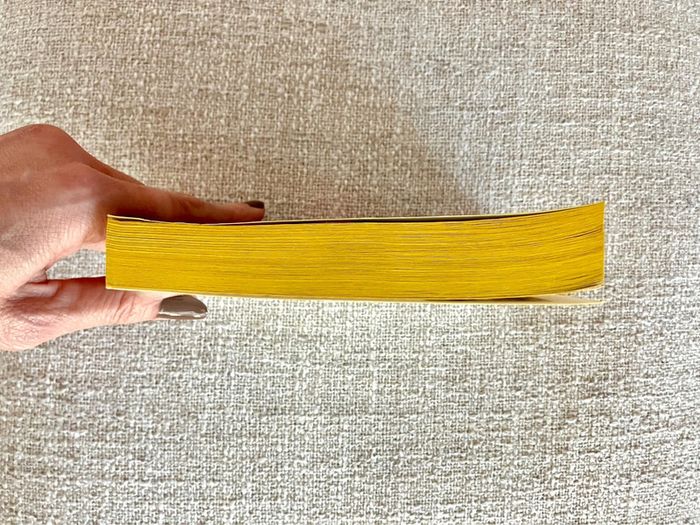 Livre Poche  Le baiser du dragon de Ysabelle Lacamp - photo numéro 3