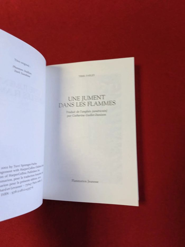 Cheval fantôme Tome 3 " Une jument dans les flammes " Terri Farley - photo numéro 8