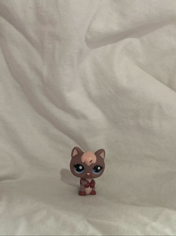 lps chaton