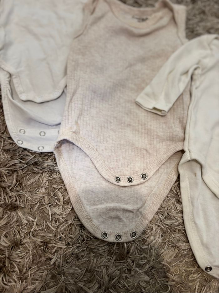Lot 3 bodies