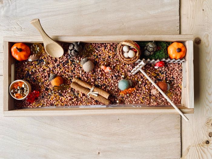 🍂Kit Montessori bac univers sensoriel – Thème Forêt automnale - photo numéro 3