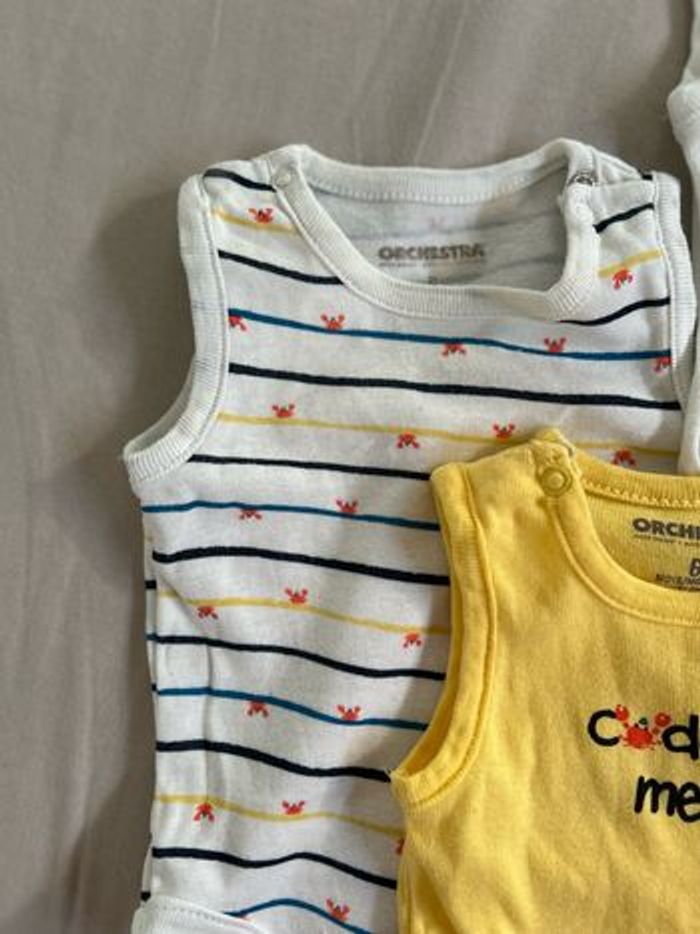 Lot bodys - photo numéro 4