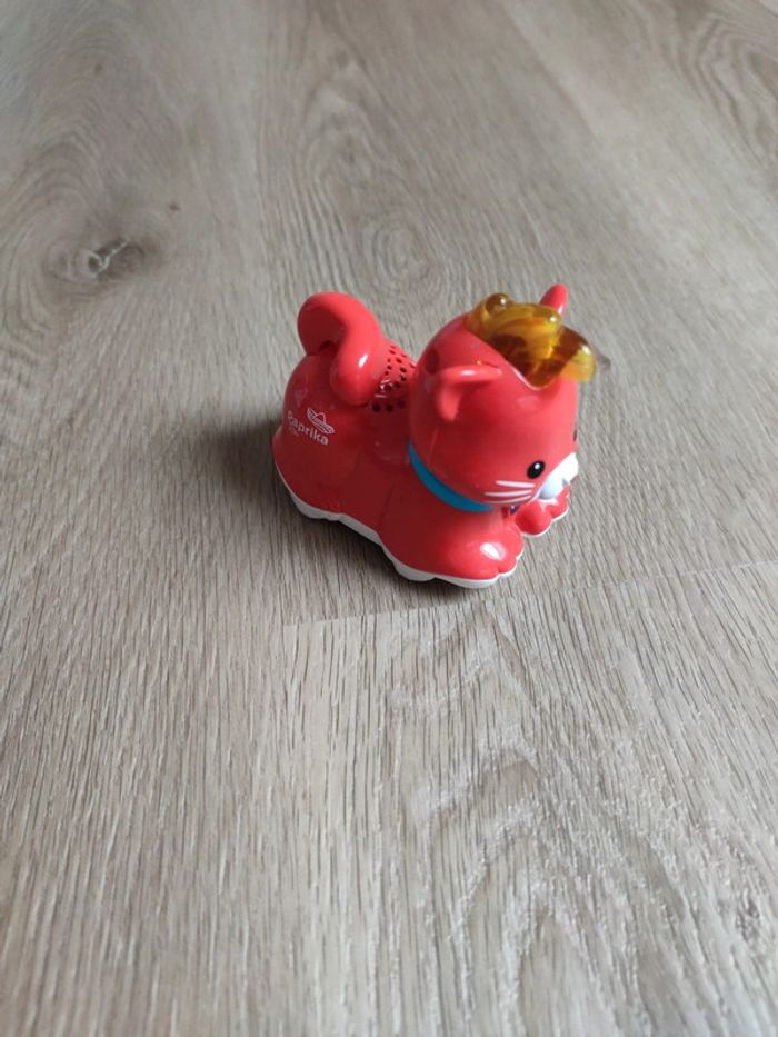 Paprika le bébé chat