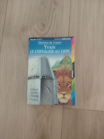 Livre yvain le chevalier au lion