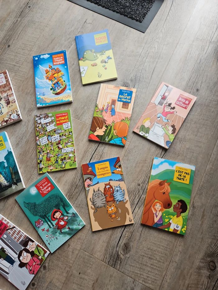 Livres - photo numéro 4