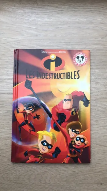 Livre les indestructibles