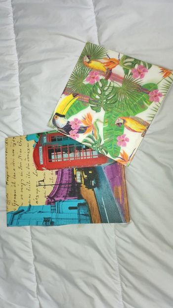 Lot de deux tableaux
