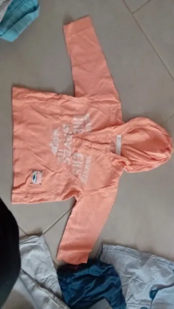 Pull capuche creeks 18mois