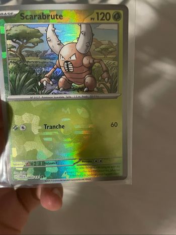 Scarabrute masterball