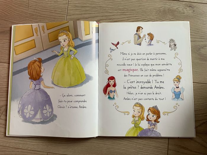 Livre Princesse Sofia - photo numéro 5