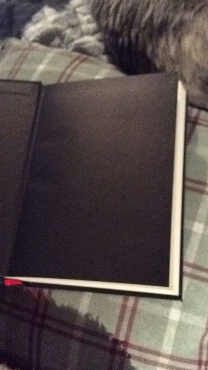 L’été Finit sous les tilleuls Mar Michel Haedens - photo numéro 3