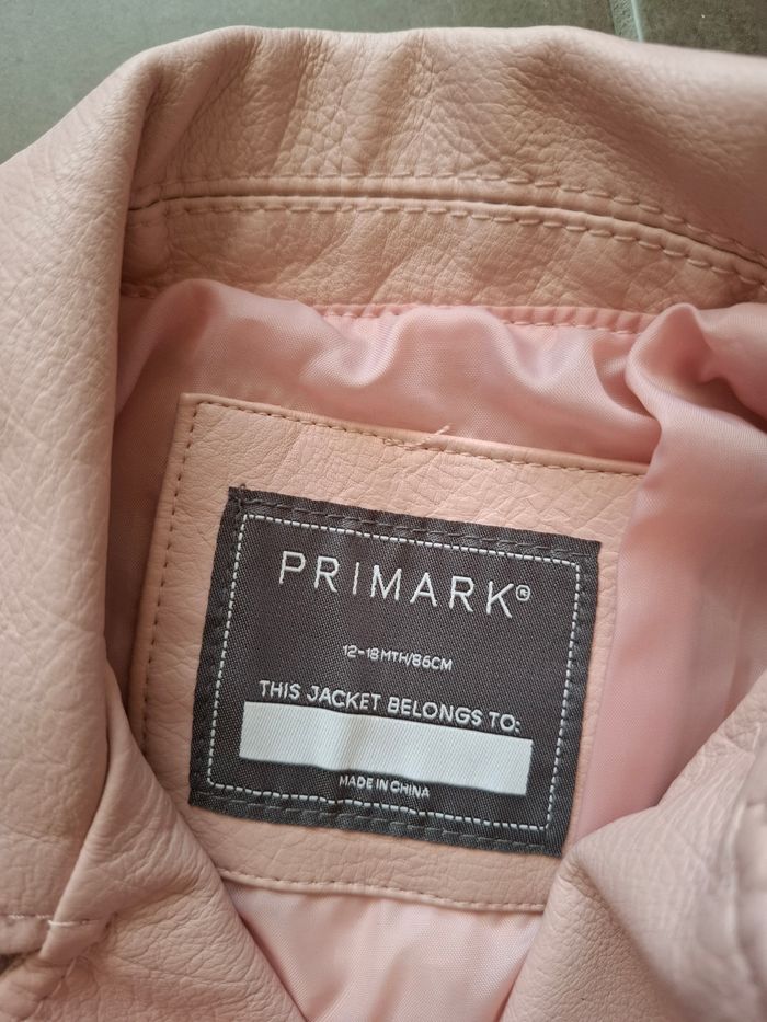 Perfecto rose - photo numéro 3