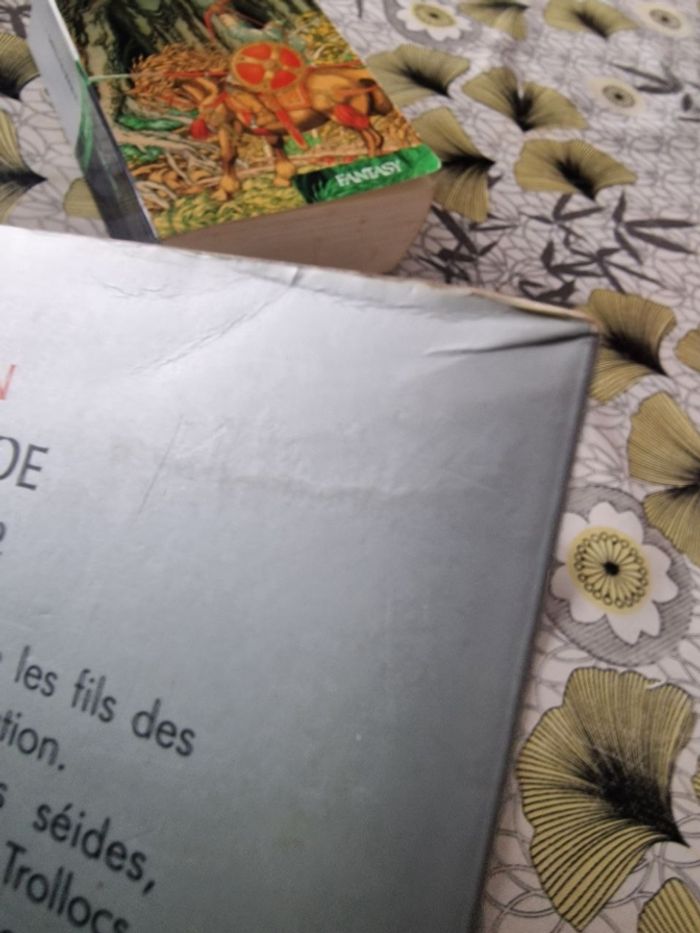 Duologie La roue du temps - photo numéro 7