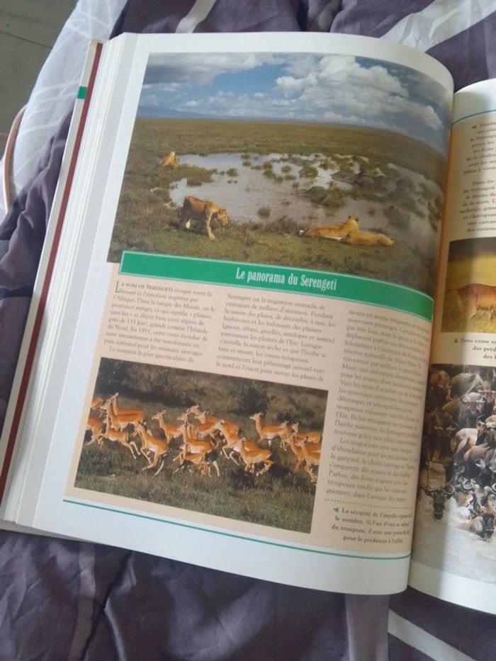 Livre encyclopédie - photo numéro 3