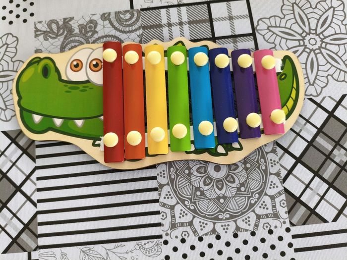 Xylophone et maracas bébé - photo numéro 5