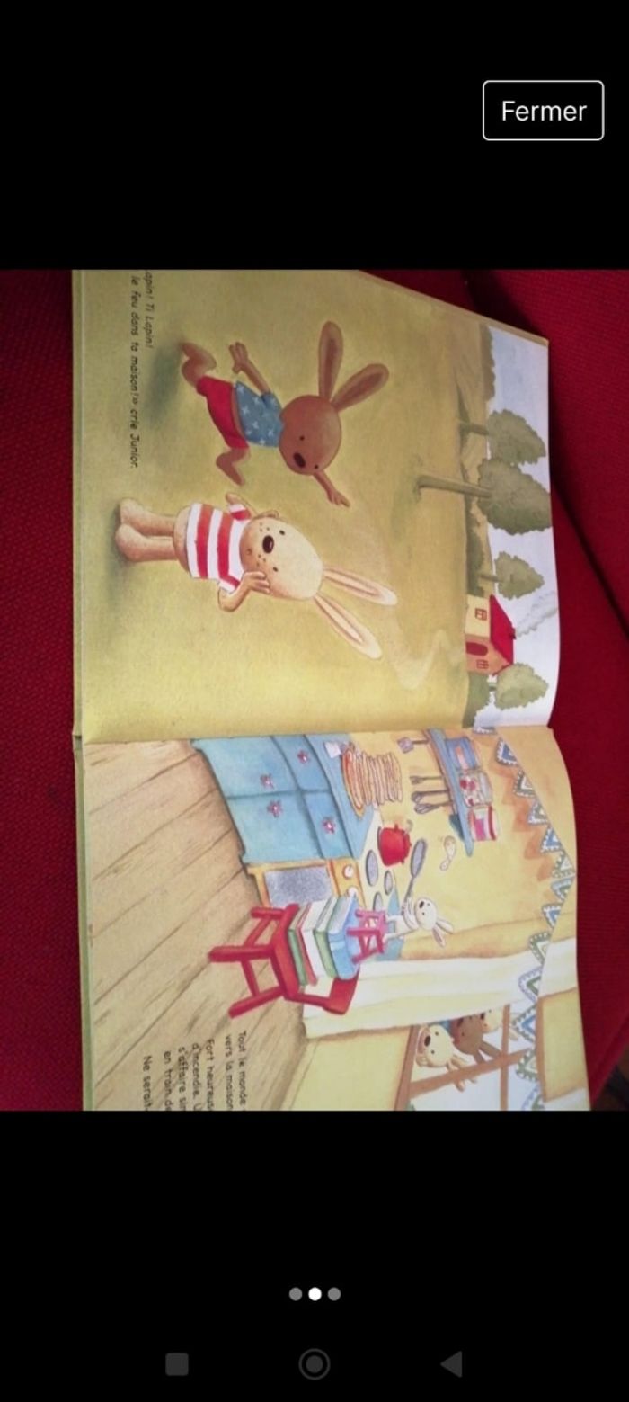 Ti lapin - photo numéro 2