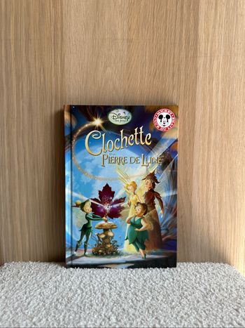 Livre clochette et la pierre de lune