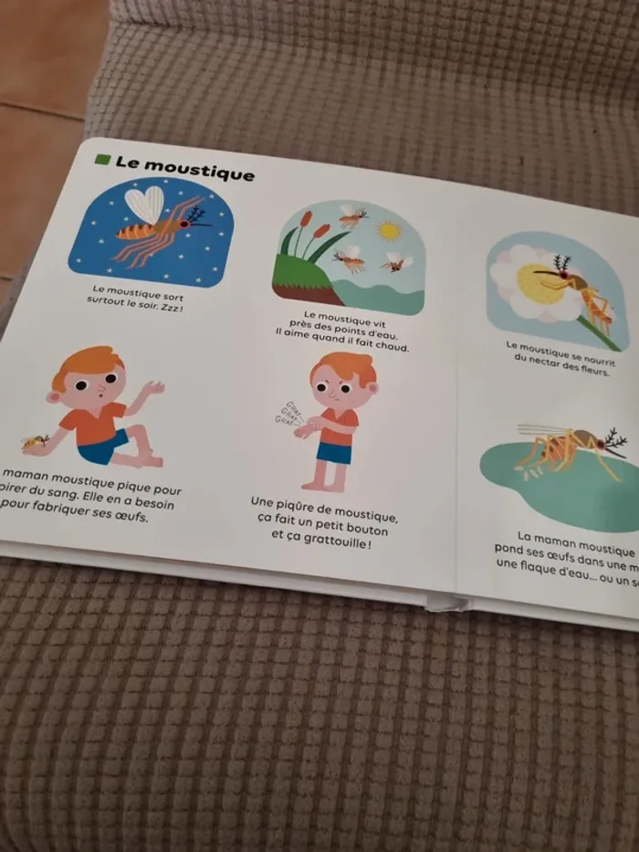 Livre "les petites bêtes " - photo numéro 13