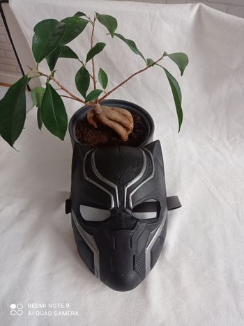 Masque black panther