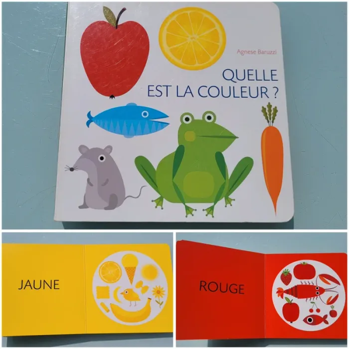 Livre d'Agnès Baruzzi 🍎 Quelle est la couleur? 🐸