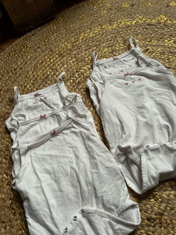 Bodies