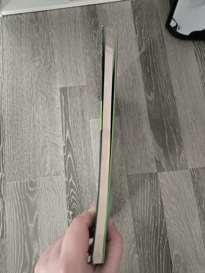 Lot de 2 livres scolaires STMG - photo numéro 10