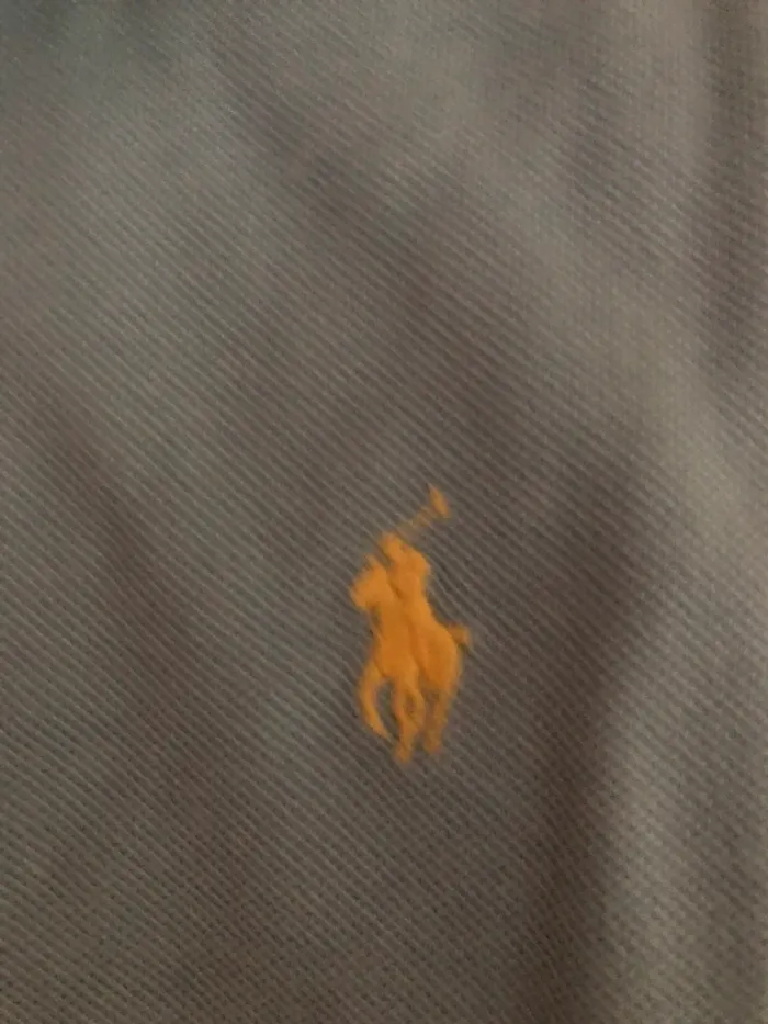 Polo Ralph Lauren Bleu - photo numéro 3