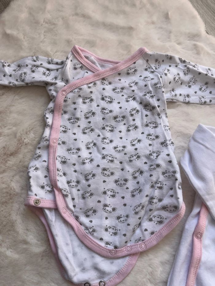 2 Bodie croisés 9 mois - photo numéro 2