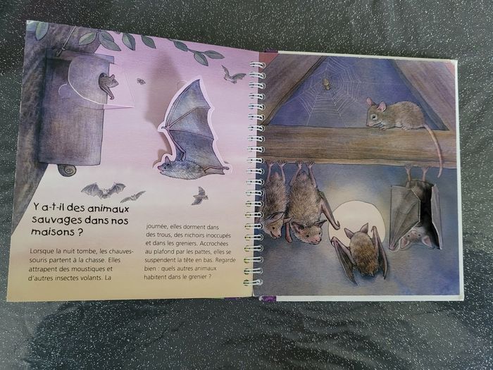 Livre La maison des animaux Les p'tits juniors - photo numéro 7