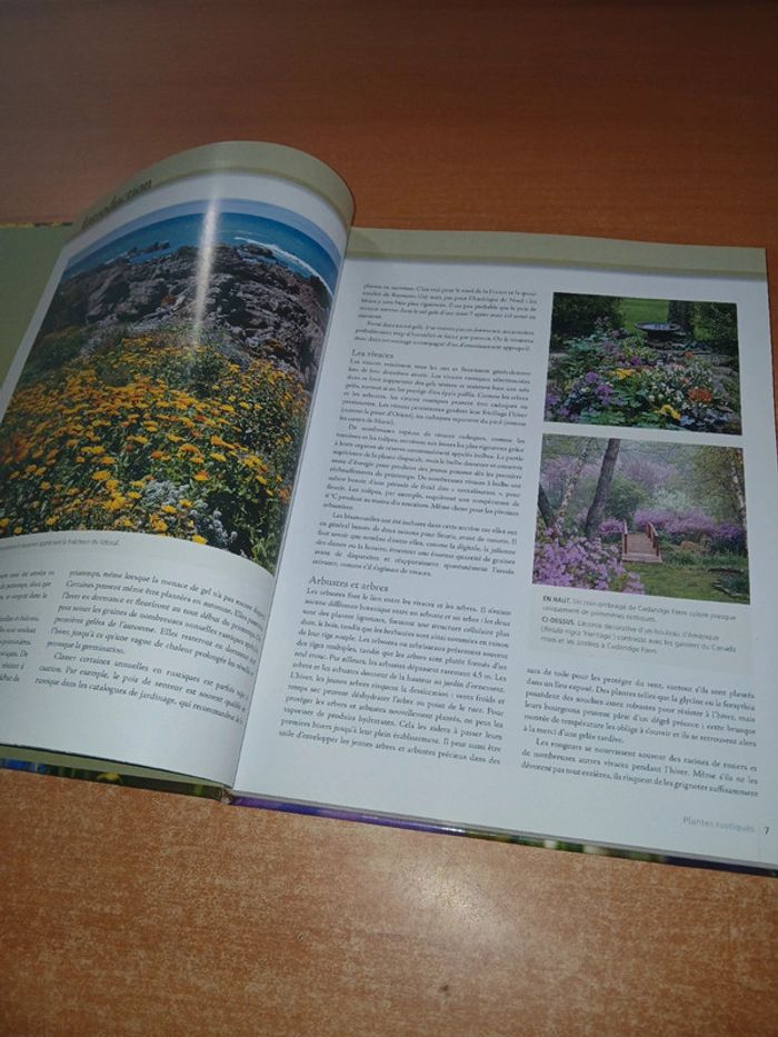 Plantes rustiques l'encyclopédie pratique - photo numéro 6