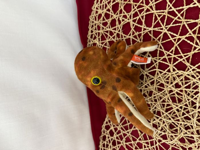 Wild Republic peluche pieuvre junior 20 cm en peluche marron/blanc - photo numéro 2