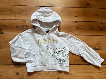 Pull Harry Potter